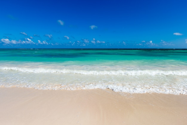 Tropical beach in Maldives