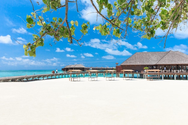 Tropical beach in Maldives