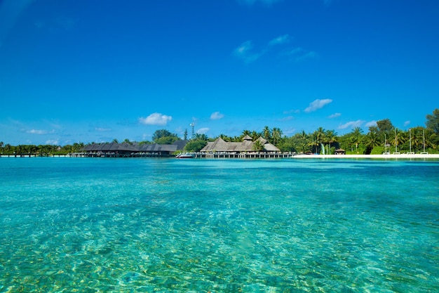 Tropical beach in Maldives