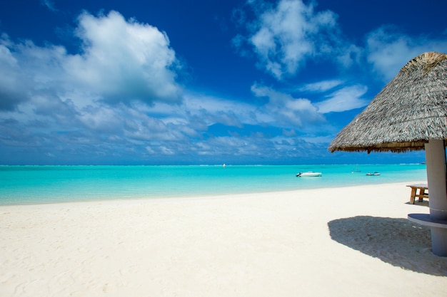 Tropical beach in Maldives