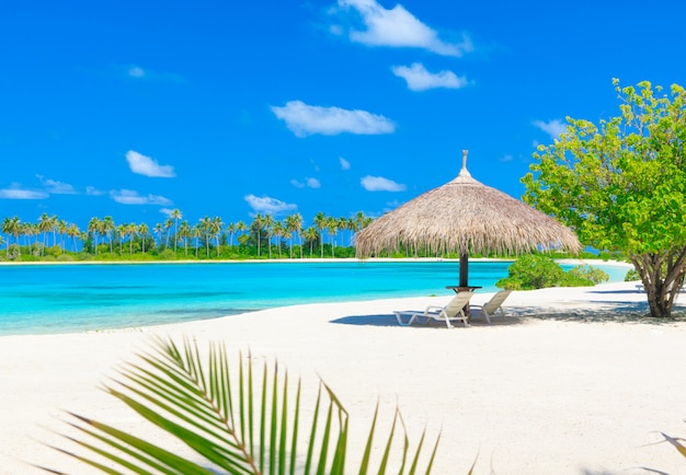 Photo tropical beach in maldives