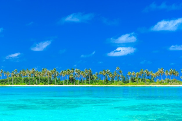 Tropical beach in Maldives