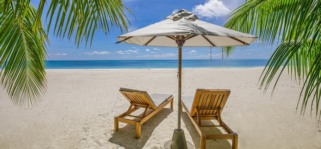 Tropical beach nature as summer landscape with lounge chairs beds palm tree leaves and calm sea