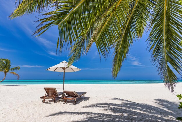 Photo tropical beach nature as summer landscape with lounge chairs and palm trees and calm sea for beach