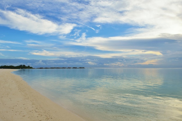 tropical beach nature landscape scene with white sand at summer