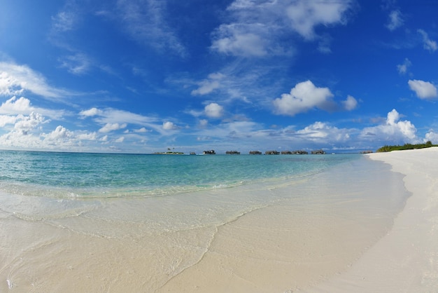 tropical beach nature landscape with white sand at summer