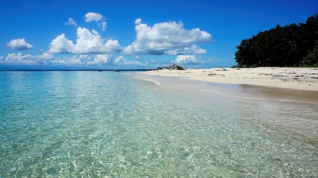 Tropical beach panamanian caribbean