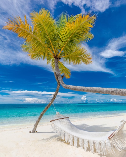 Tropical beach panorama as summer relax landscape with beach hammock hang on palm tree, leisure