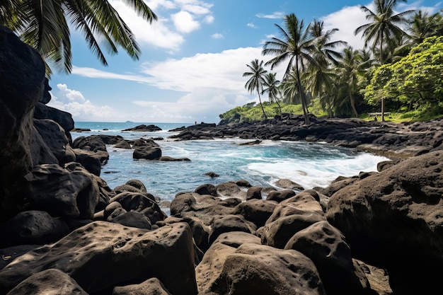 Tropical Beach Paradise with Palm Trees