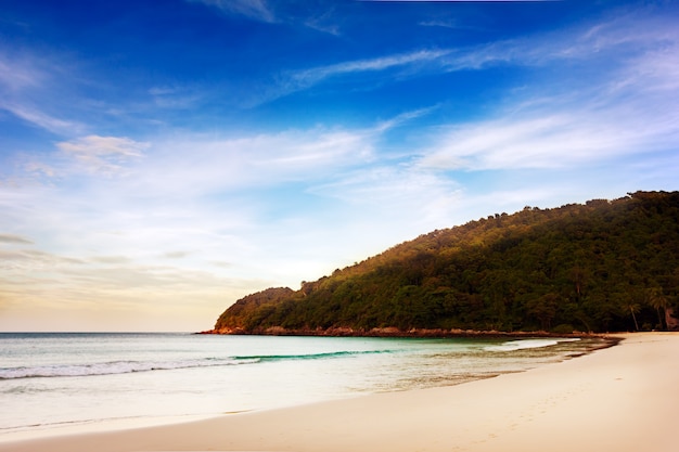 Foto spiaggia tropicale nel paradiso.