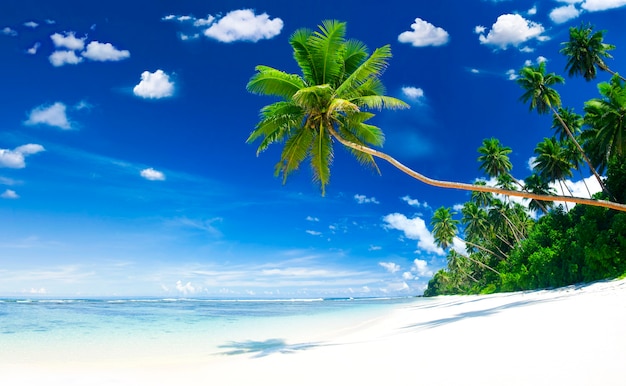 Tropical beach on Samoa