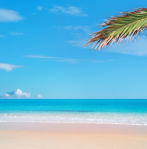 Tropical beach in sardinia italy