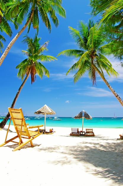 Tropical beach scenery with coconut palm trees and turquoise sea. Boracay island, Philippines