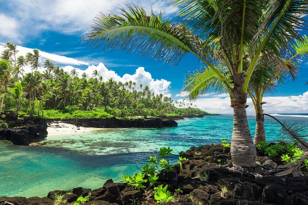 Tropical beach on south side of Samoa Island with coconut palm trees