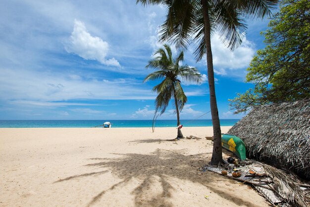 Tropical beach in Sri Lanka . Summer holiday and vacation concept for tourism.