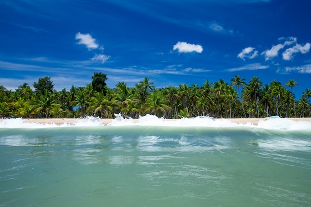 Тропический пляж в Шри-Ланке. Летний отдых и отпуск концепции для туризма.