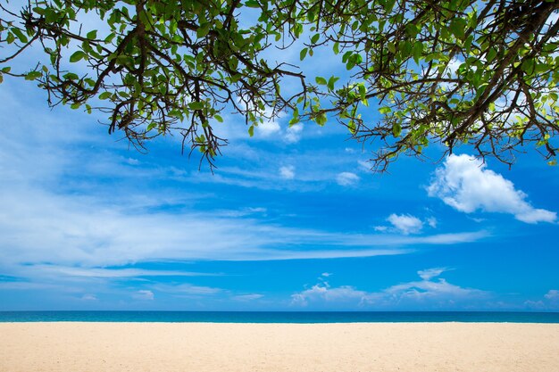 スリランカの熱帯のビーチ