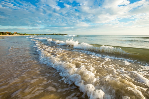 Tropical beach in Sri Lanka