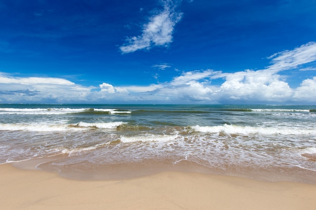 tropical beach in Sri Lanka