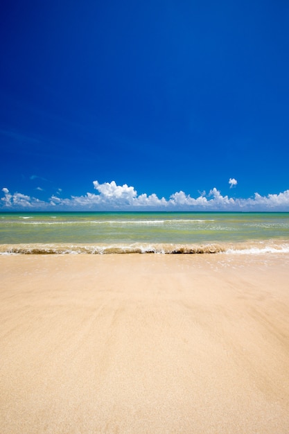 スリランカの熱帯のビーチ
