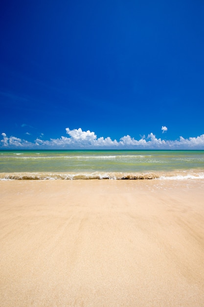 Tropical beach in Sri Lanka