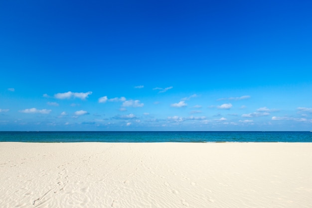 Spiaggia tropicale in sri lanka.