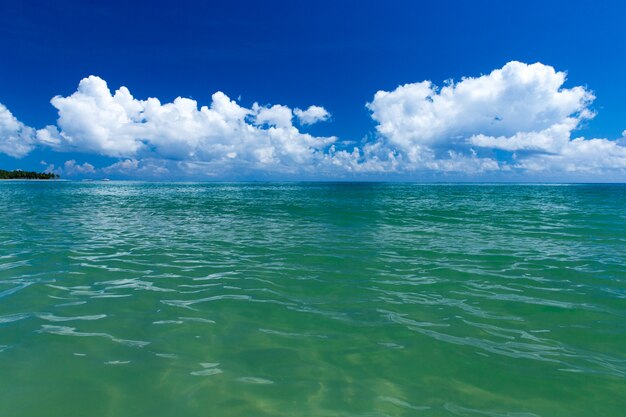 Tropical beach in Sri Lanka.