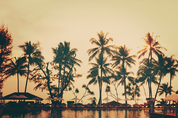 Vista spiaggia tropicale con palme