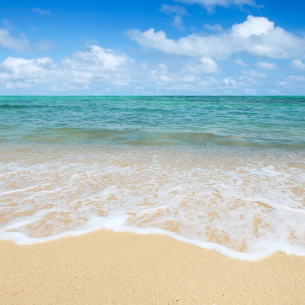 Tropical Beach with Blue Sky