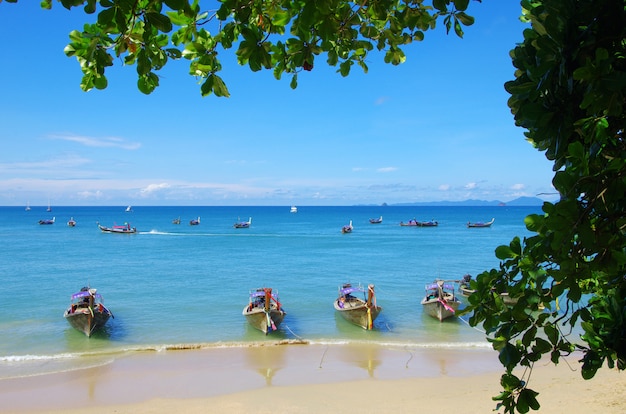 Tropical beach with boats