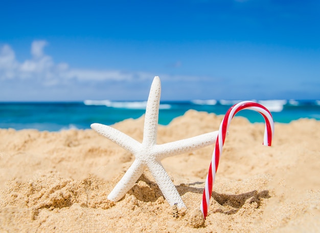 Tropical beach with candy cone and starfish