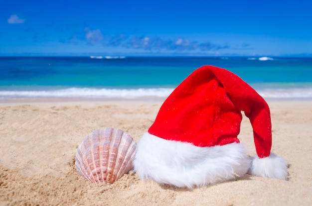 Tropical beach with Christmas or Santa hat and seashell