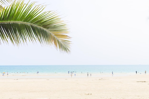 Tropical beach with coconut palm at summer time