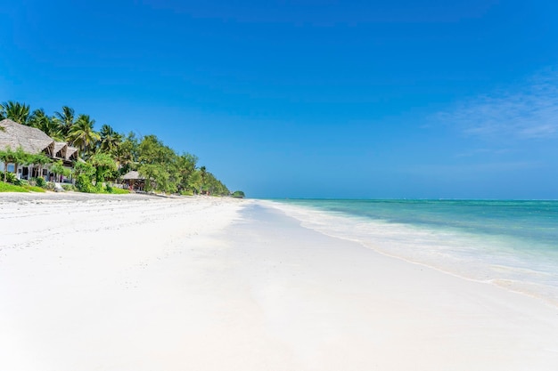 Тропический пляж с кокосовыми пальмами на острове Занзибар Танзания Африка Концепция путешествий и отдыха