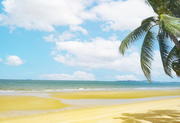 Tropical beach with coconut tree , copyspace for text. Concept of summer relaxation