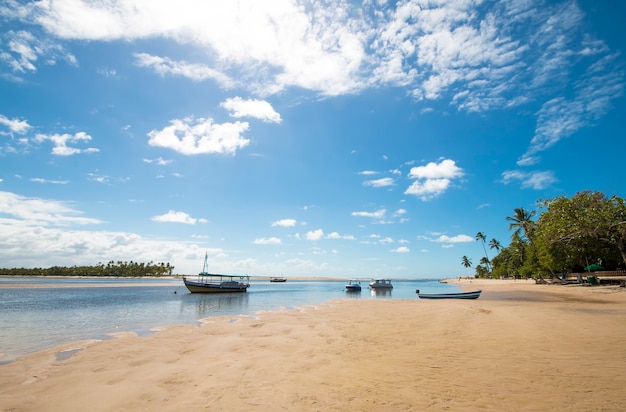 Tropical beach with coconut trees and boats on the island of Boipeba in Bahia Brazil.