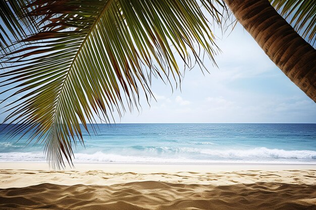 Tropical Beach with Palm Frond Shade