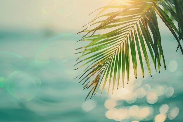 Photo tropical beach with palm leaf sun light and waves