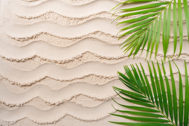 A tropical beach with palm leaves and a green palm leaf on the sand