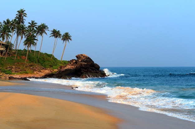 Тропический пляж с пальмами на острове Шри-Ланка