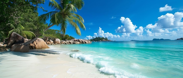 Tropical Beach With Palm Trees and Clear Water