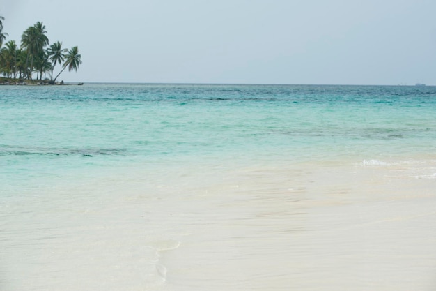 Photo tropical beach with palm trees during a sunny day guna yala comarca panama