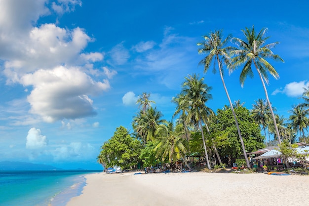 Tropical beach with palm trees on Koh Samui island, Thailand