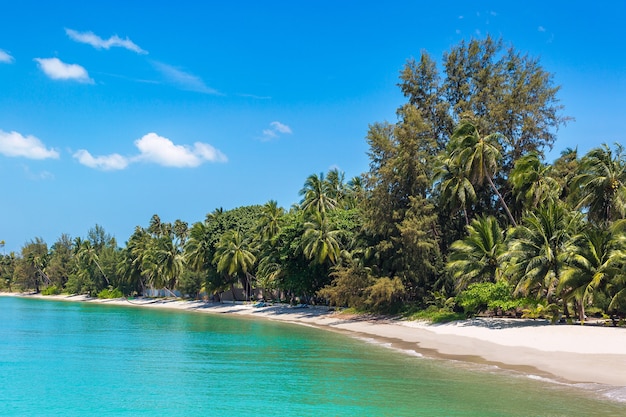 Tropical beach with palm trees on Koh Samui island, Thailand