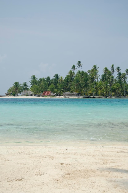 Tropical beach with palm trees during a sunny day Guna Yala Comarca Panama