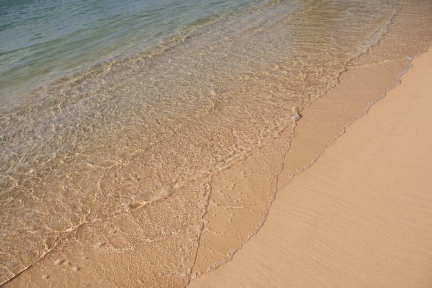 Tropical beach with sea sand on summer vacation