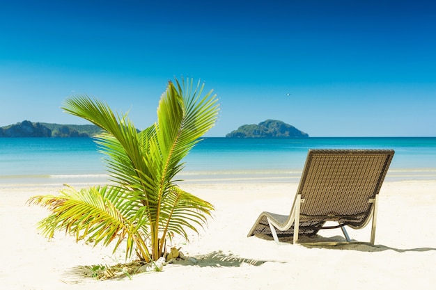 Tropical beach with sun loungers, palm tree and rocks