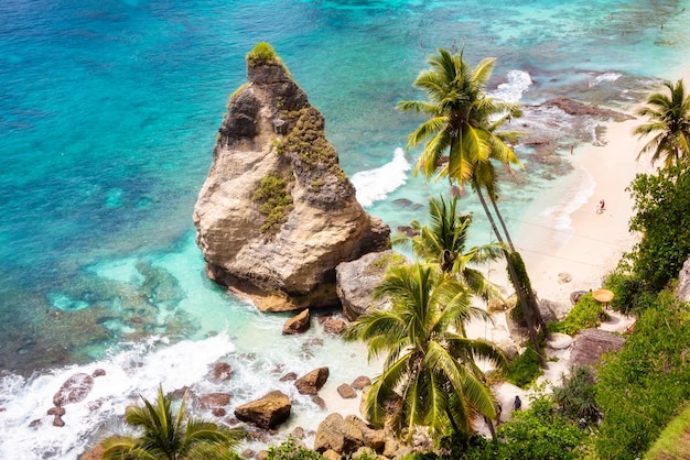 Tropical beach with white sand and palm trees beach holiday destination