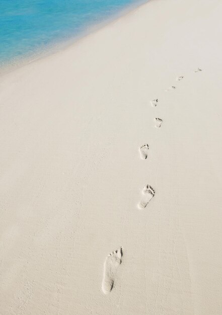 tropical beach with white sand at summer