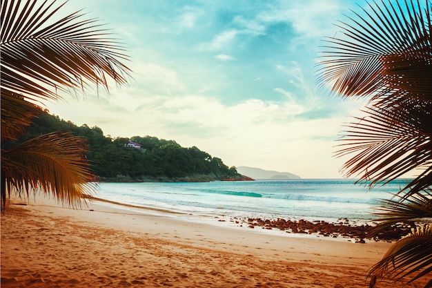 Spiaggia tropicale